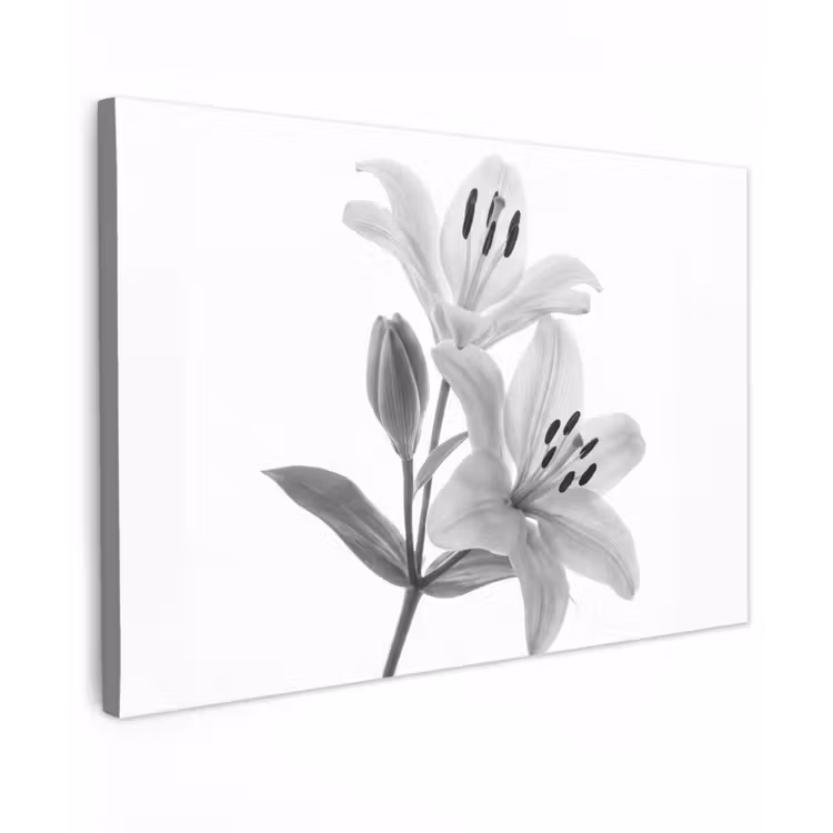 Lelies - Elegant - Zwart - Wit canvas 2cm klein -z3d