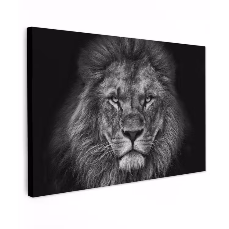 Leeuw - Dieren - Zwart - Wit canvas 2cm klein -z3d
