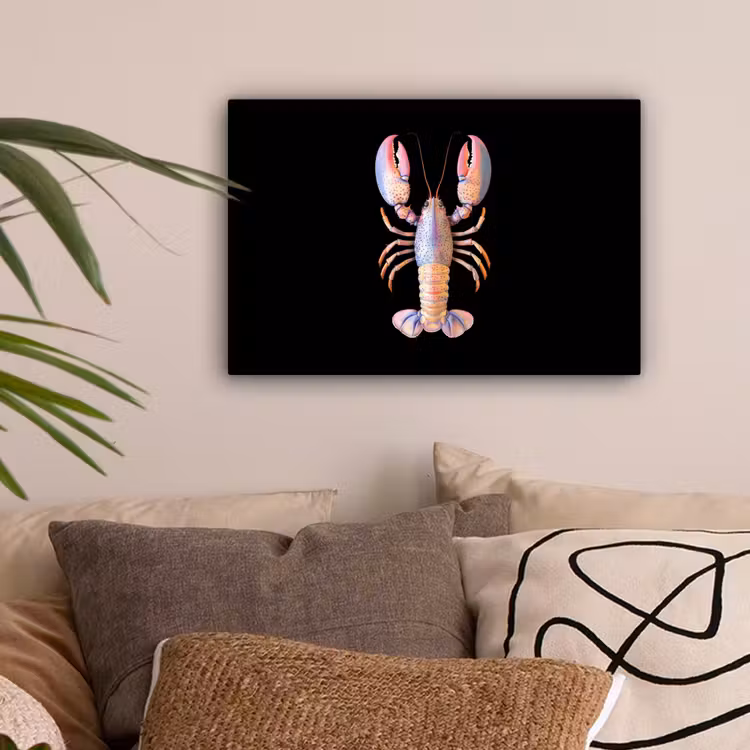 Kreeft - Roze - Zacht - Zwart canvas 2cm klein -sfeer1