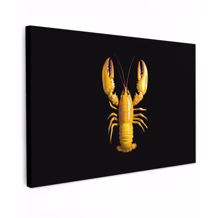 Kreeft - Geel - Stippen - Effen canvas 2cm klein -z3d