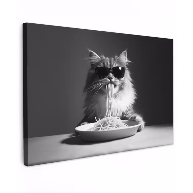 Langharige kat - Zonnebril - Spaghetti - Humor - Zwart - wit canvas 2cm klein -z3d