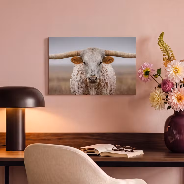 Longhorn - Grasveld - Dier canvas 2cm klein -sfeer4
