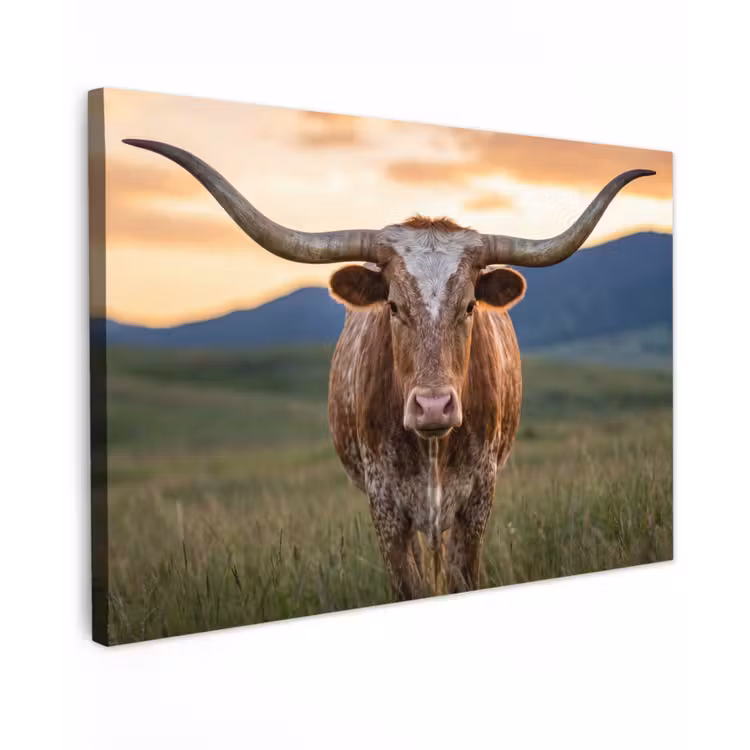 Longhorn - Landschap - Zonsondergang canvas 2cm klein -z3d