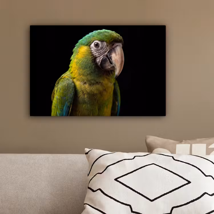 Ara - Portret - Groen canvas 2cm klein -sfeer3