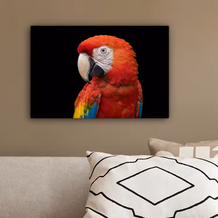 Ara - Portret - Rood canvas 2cm klein -sfeer3