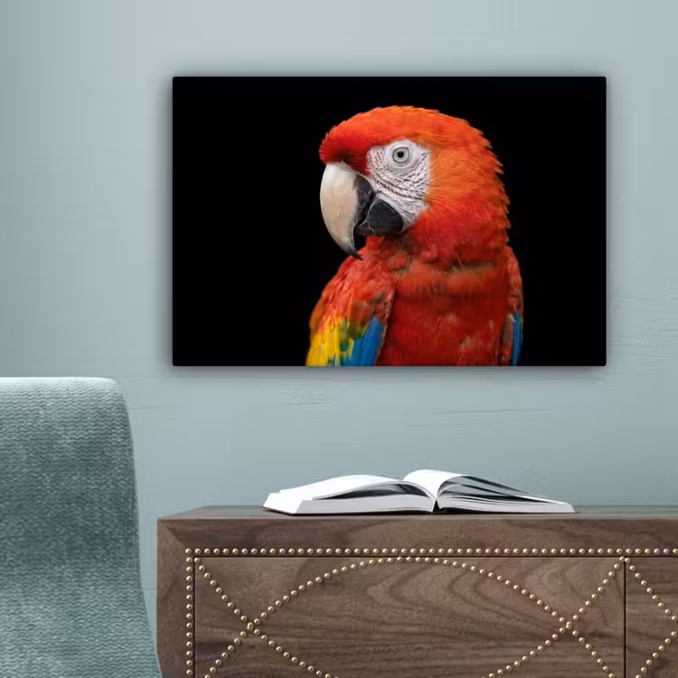 Ara - Portret - Rood canvas 2cm klein -sfeer4