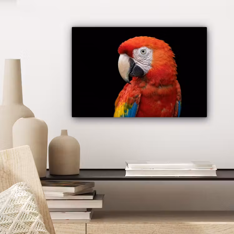 Ara - Portret - Rood canvas 2cm klein -sfeer6