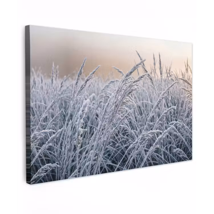 Rijp - Gras - Kristallen - Winter - Minimalistisch canvas 2cm klein -z3d
