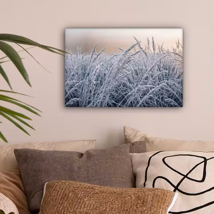 Rijp - Gras - Kristallen - Winter - Minimalistisch canvas 2cm klein -sfeer1