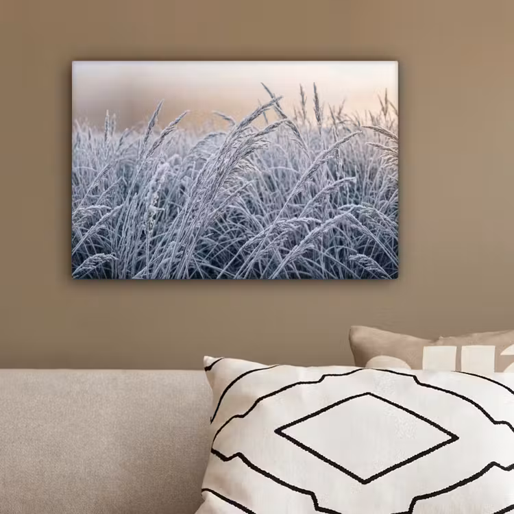 Rijp - Gras - Kristallen - Winter - Minimalistisch canvas 2cm klein -sfeer3