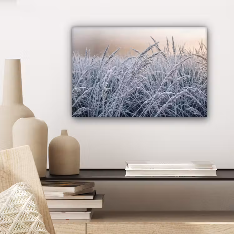 Rijp - Gras - Kristallen - Winter - Minimalistisch canvas 2cm klein -sfeer6