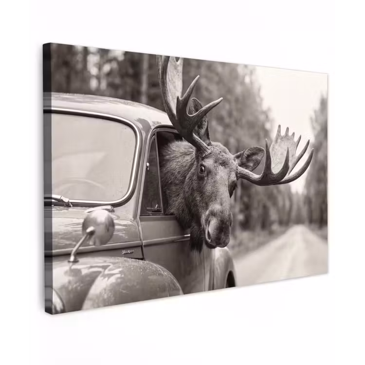 Eland - Auto - Gewei - Zwart - Wit canvas 2cm klein -z3d