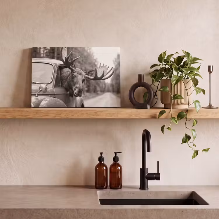 Eland - Auto - Gewei - Zwart - Wit canvas 2cm klein -sfeer3
