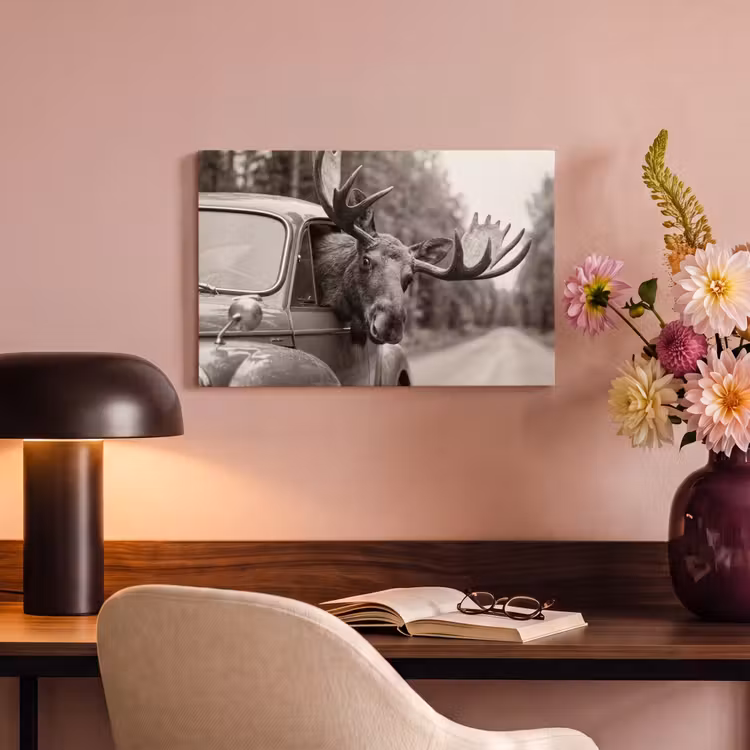 Eland - Auto - Gewei - Zwart - Wit canvas 2cm klein -sfeer4