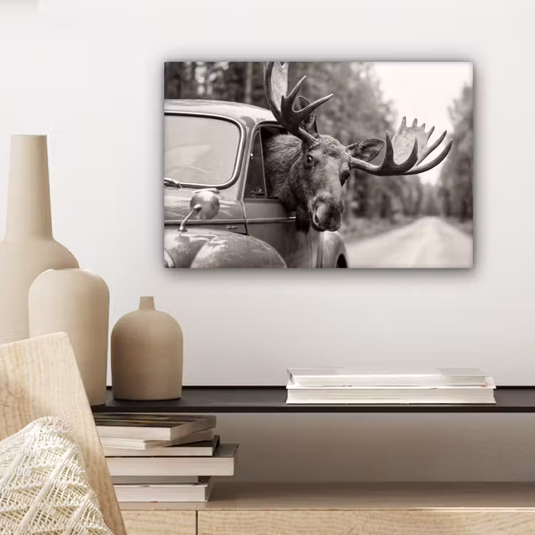 Eland - Auto - Gewei - Zwart - Wit canvas 2cm klein -sfeer6