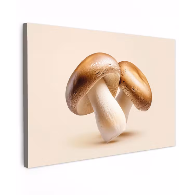 Champignons - Zacht - Beige canvas 2cm klein -z3d