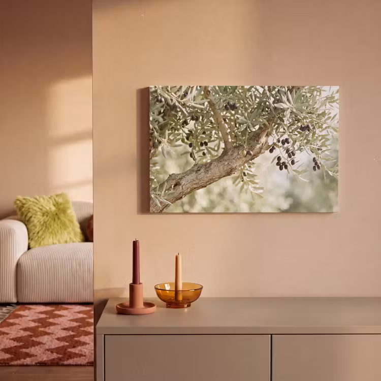 Canvas Print - Olive tree - branch - green - Olijfboom - tak - groen canvas 2cm klein