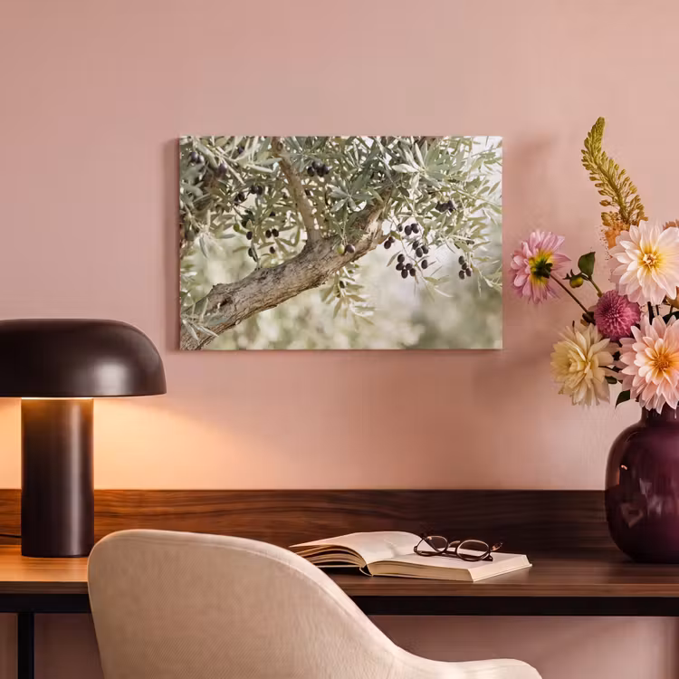 Canvas Print - Olive tree - branch - green - Olijfboom - tak - groen canvas 2cm klein