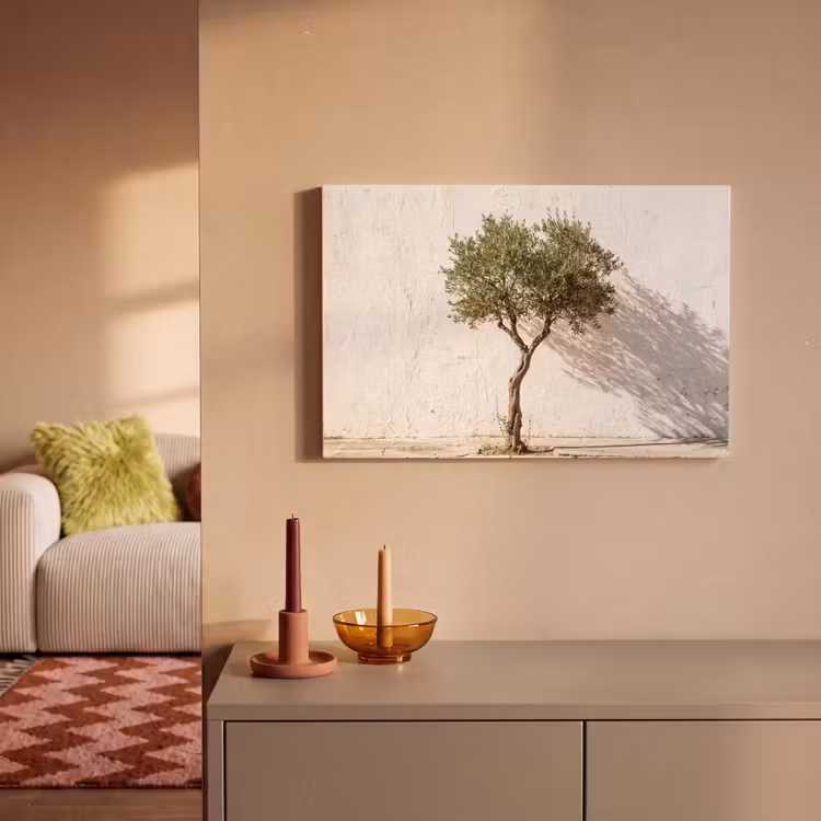 Canvas Print - Olive Tree - Wall - White - Olijfboom - muur - wit canvas 2cm klein