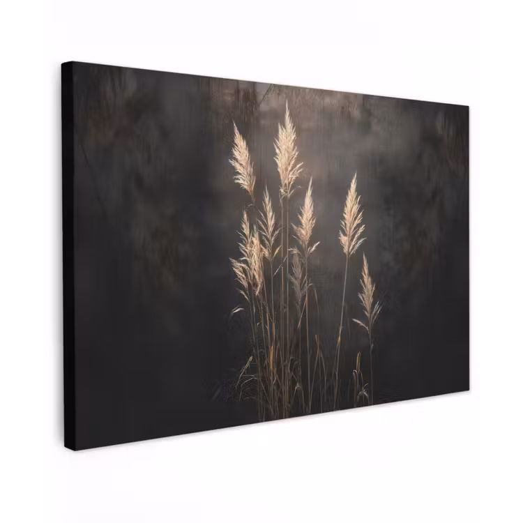 Siergras - Pluimen - Verlichting - Zwart canvas 2cm klein -z3d