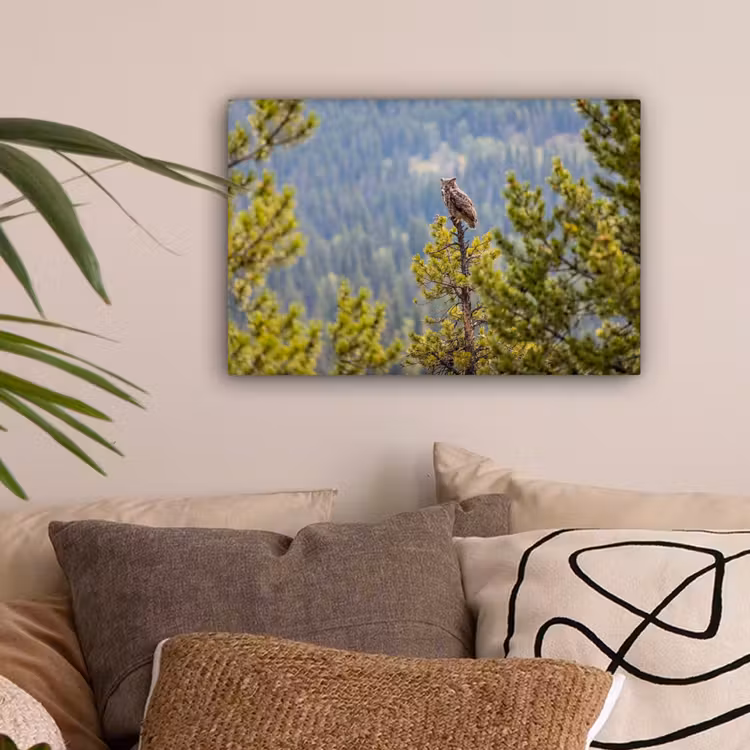 Uil - Oehoe - Bomen - Natuur canvas 2cm klein -sfeer1