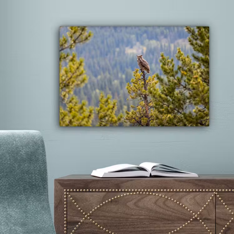 Uil - Oehoe - Bomen - Natuur canvas 2cm klein -sfeer4