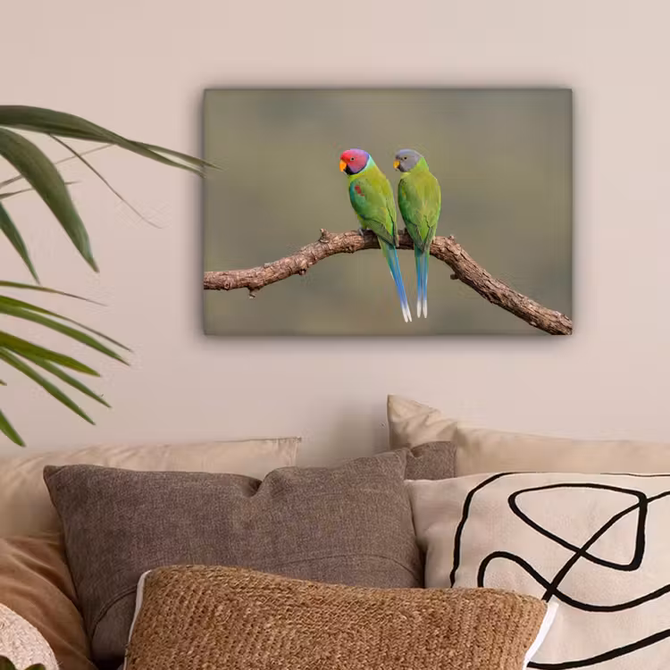 Papagaai - Tak - Natuur - Kleurrijk canvas 2cm klein -sfeer1