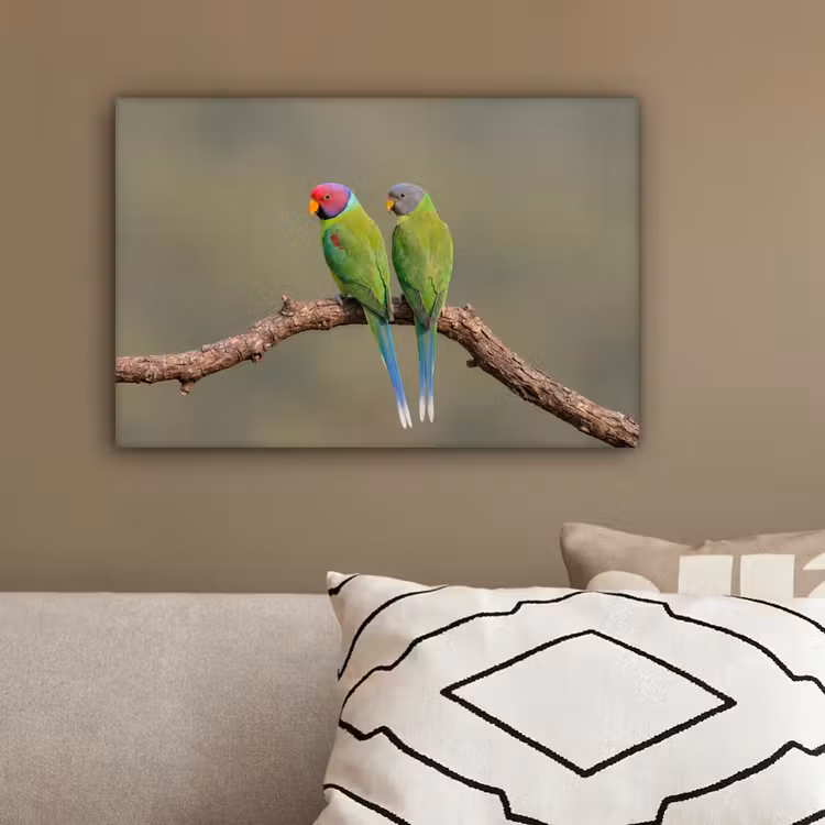 Papagaai - Tak - Natuur - Kleurrijk canvas 2cm klein -sfeer3