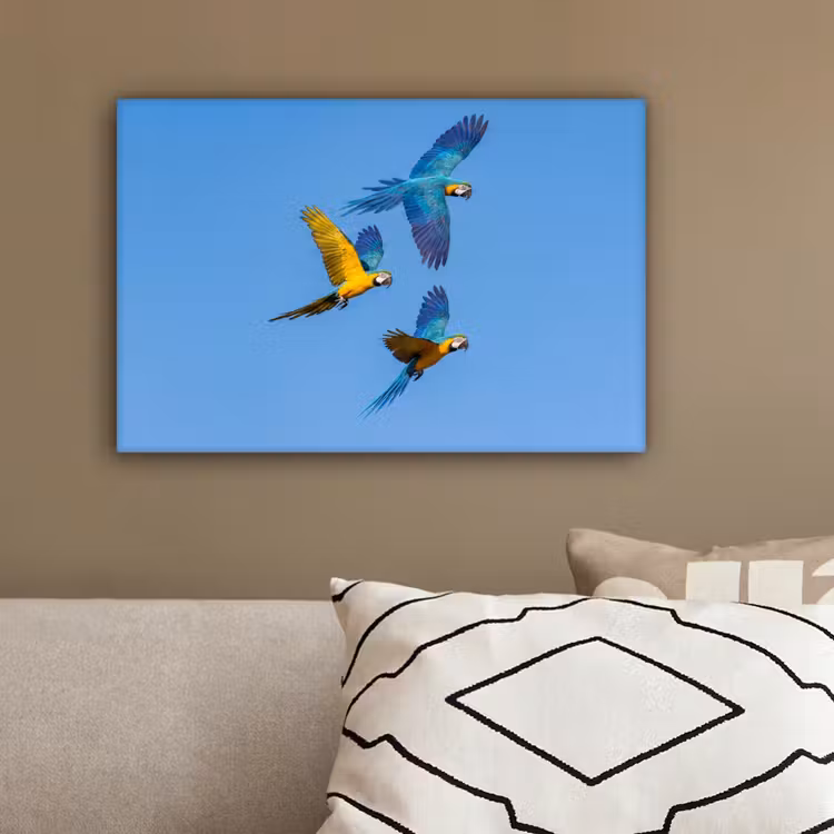 Papagaai - Vliegen - Blauw - Geel canvas 2cm klein -sfeer3
