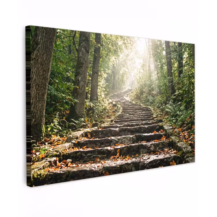 Stenen - Trap - Bos - Natuur canvas 2cm klein -z3d