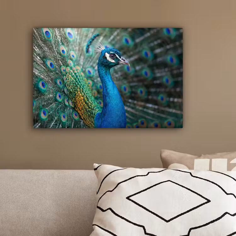 Pauw - Veren - Blauw canvas 2cm klein -sfeer3
