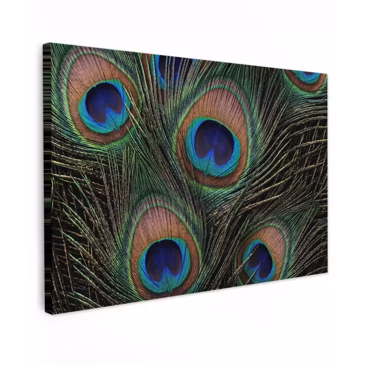 Pauwenveren - Klassiek - Groen canvas 2cm klein -z3d