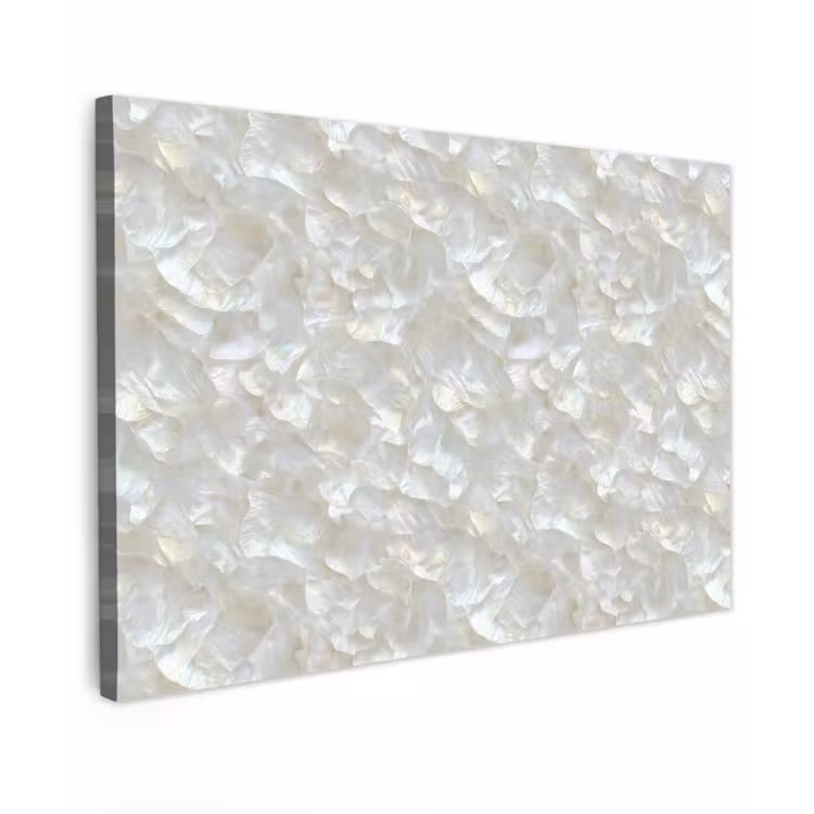 Parelmoerglans - Wit - Schelp canvas 2cm klein 34 -z3d