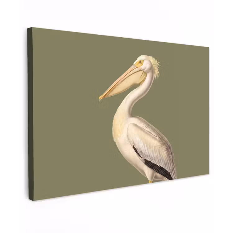 Pelikaan - Wit - Vogel - Klassiek - Natuur canvas 2cm klein -z3d