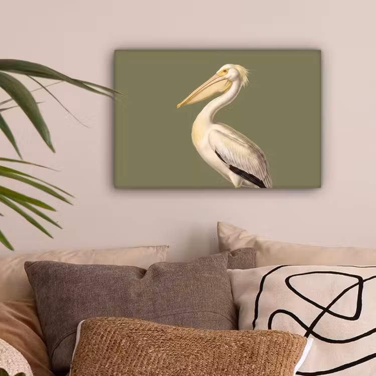 Pelikaan - Wit - Vogel - Klassiek - Natuur canvas 2cm klein -sfeer1