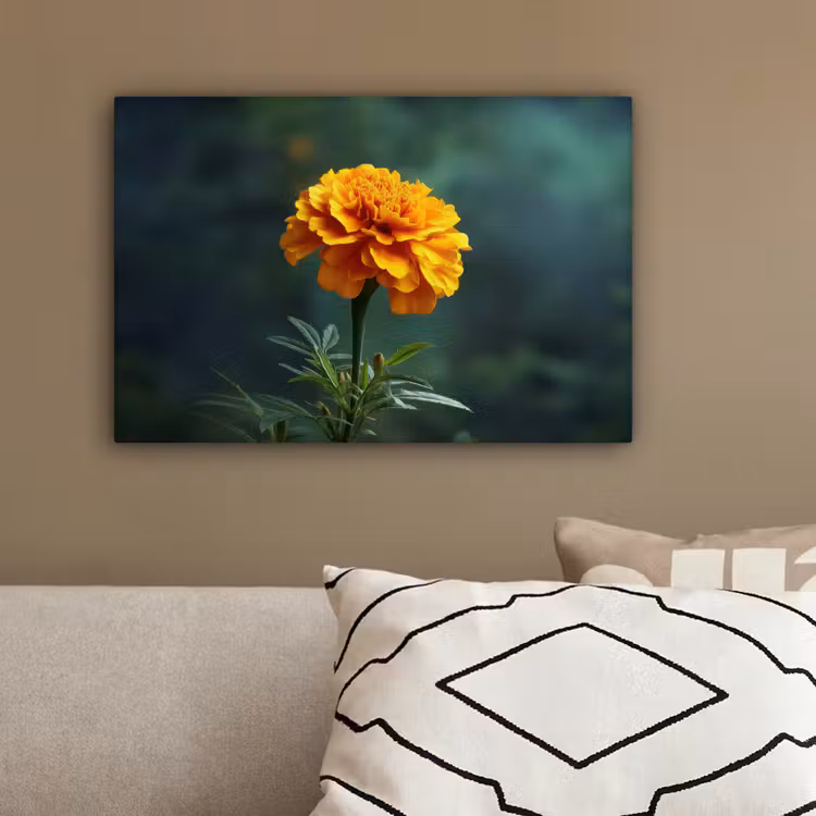 Bloemblaadjes - Afrikaan - Oranje - Wazig canvas 2cm klein -sfeer3