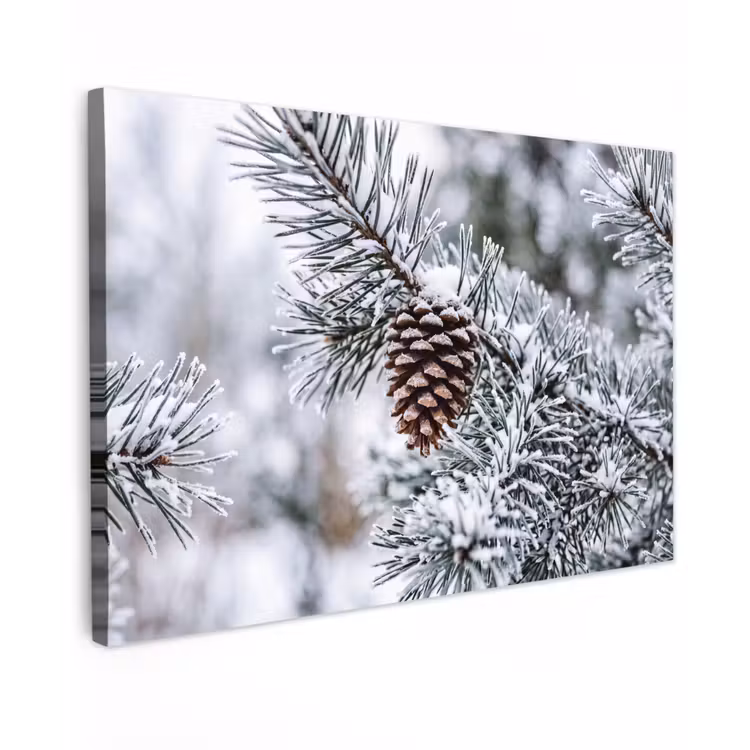 Dennenappel - Tak - Sneeuw - Winter - Sfeervol canvas 2cm klein -z3d