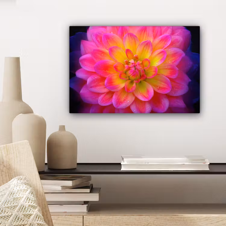 Roze - Dahlia - Kleurrijk canvas 2cm klein -sfeer6