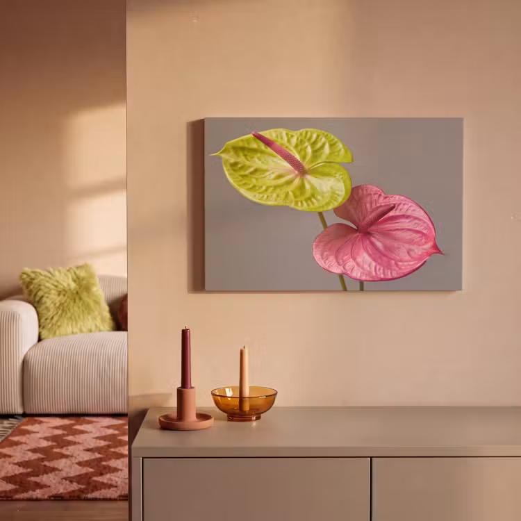 Planten - Anthurium - Groen - Roze canvas 2cm klein -sfeer1