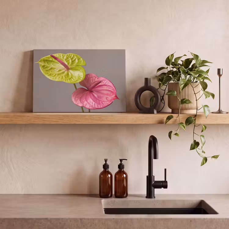 Planten - Anthurium - Groen - Roze canvas 2cm klein -sfeer3