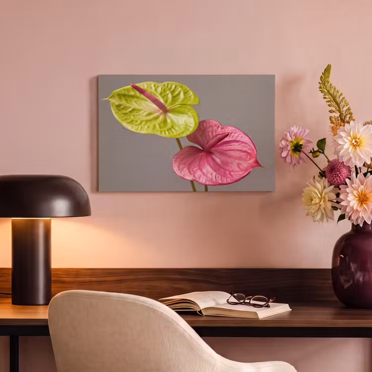 Planten - Anthurium - Groen - Roze canvas 2cm klein -sfeer4