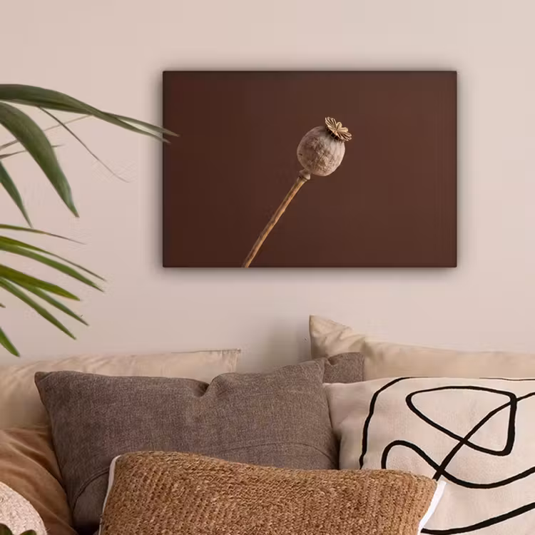 Papaverbol - Droogbloem - Bruin - Minimalistisch canvas 2cm klein -sfeer1
