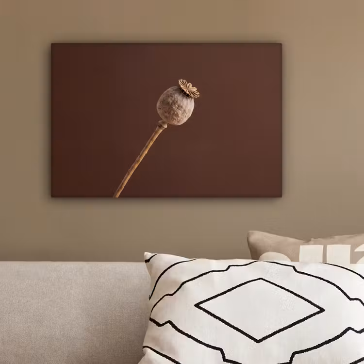 Papaverbol - Droogbloem - Bruin - Minimalistisch canvas 2cm klein -sfeer3
