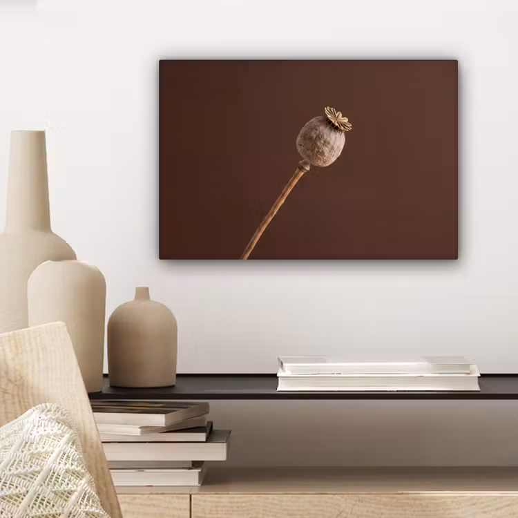 Papaverbol - Droogbloem - Bruin - Minimalistisch canvas 2cm klein -sfeer6