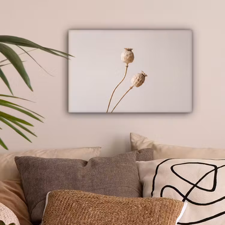 Papaverbollen - Droogbloemen - Minimalistisch - Beige - Rustig canvas 2cm klein -sfeer1