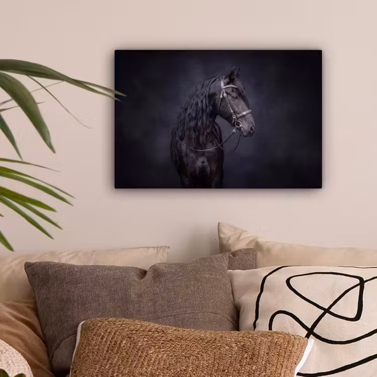 Portret - Paard - Donker canvas 2cm klein -sfeer1