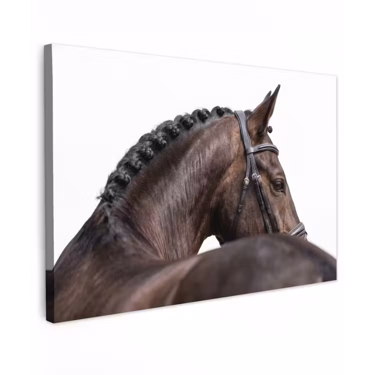 Portret - Paard - Elegant canvas 2cm klein -z3d