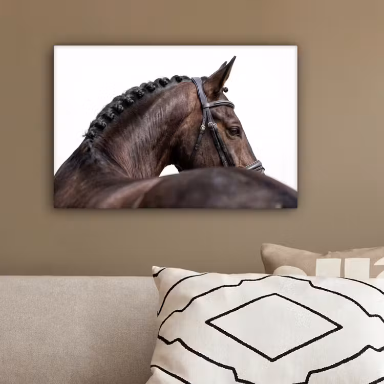 Portret - Paard - Elegant canvas 2cm klein -sfeer3