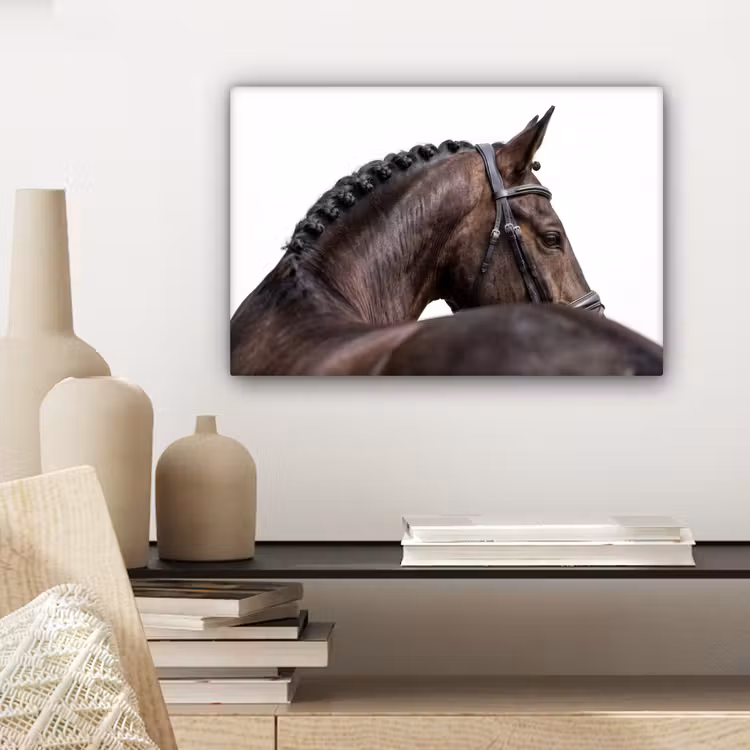 Portret - Paard - Elegant canvas 2cm klein -sfeer6