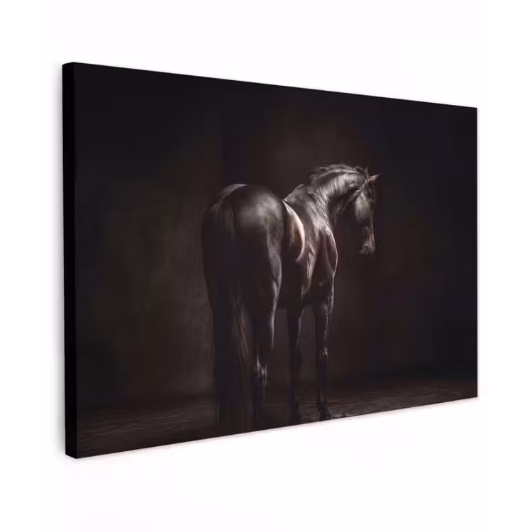 Krachtig - Paard - Donker canvas 2cm klein -z3d